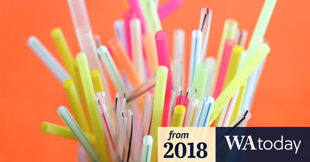 Brisbane City Council says no to plastic straw ban